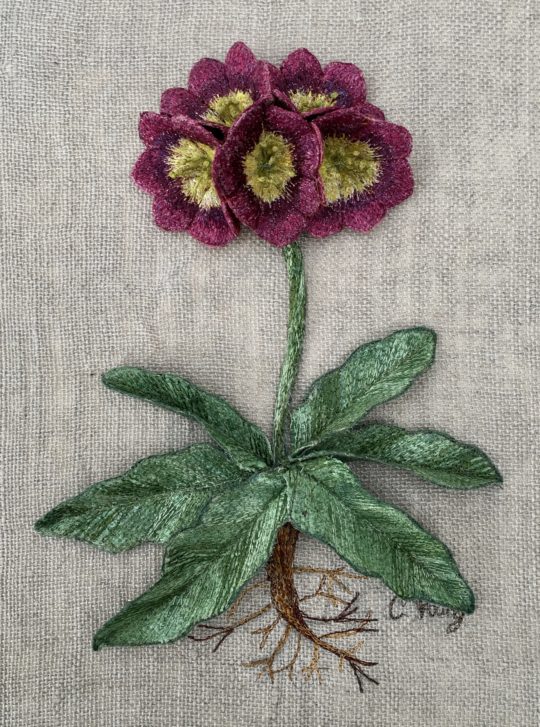 Corinne Young, Auricula Wallpiece, 2018. 15cm x 25cm (6” x 10”). Machine stitch. Madeira threads.