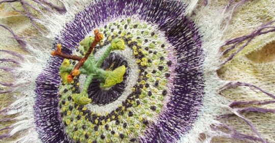 Corinne Young, Passion Flower (detail), 2009. 40cm x 40cm (16” x 16”). Machine stitch, net, textile medium, florist’s wire/tape and fax fibres.