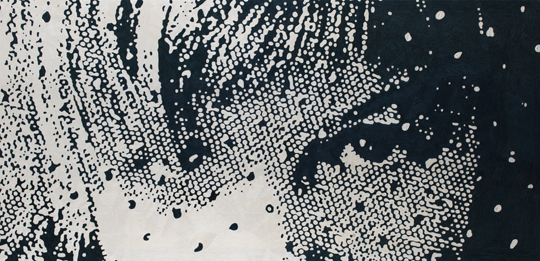 Barbara Broekman. My Family-Else's Eyes (2013). 129x263cm. Hand embroidered. Photo Gert Jan van Rooij.