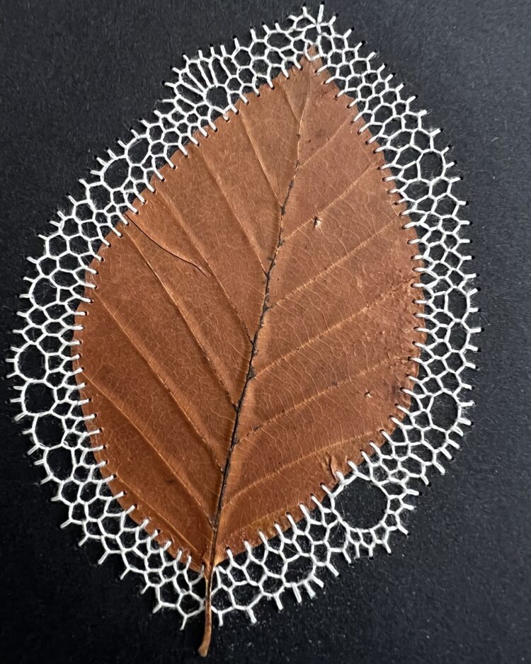 Christina Buehrer, Stitched beech leaf, 2023. 6cm x 9cm (2½" x 3½"). Collage, buttonhole stitch. Leaf, thin black cardboard, threads.