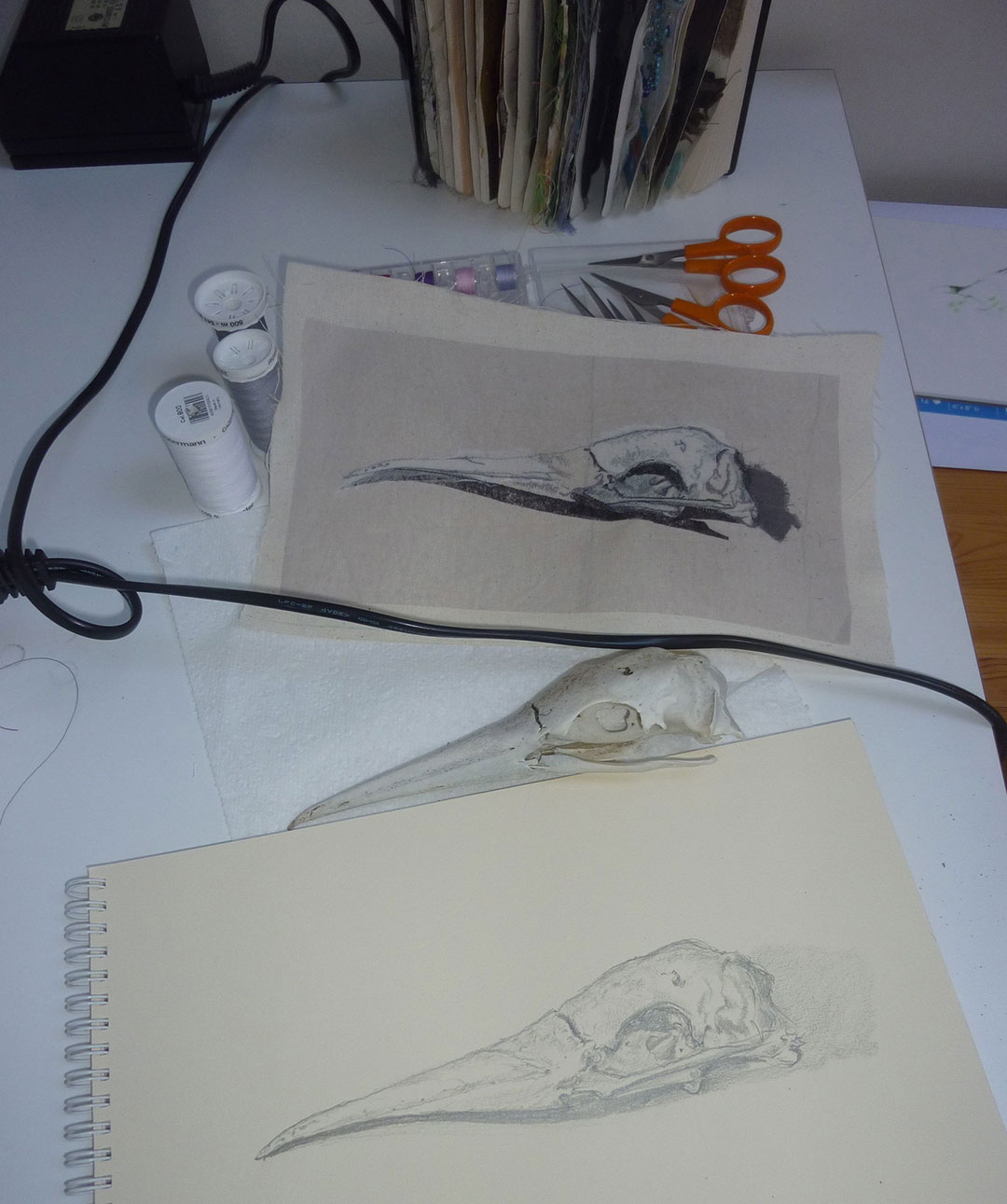 Shona Skinner's sketchbooks