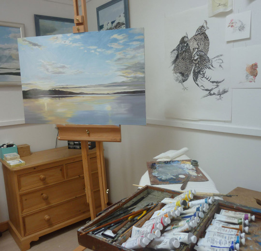 Shona Skinner's studio