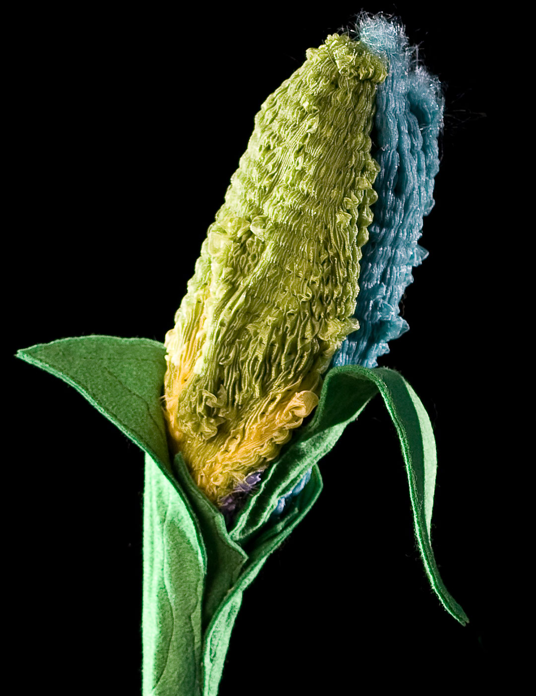 Leisa Rich – Beauty from the Beast – corn smocked stalk