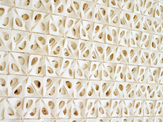 Lotus Root, Illu Stration by Mary Ann-Williams