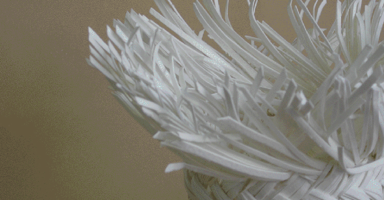 Polly Pollock interview: Unconventional basketry