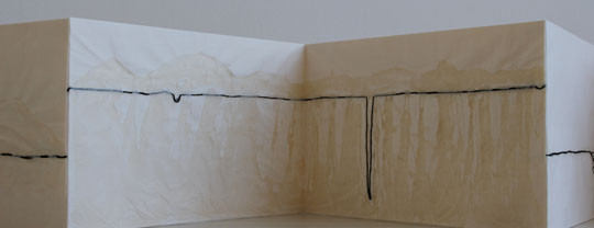 Ana Maier – Epiderme da paisagem (2011) – detail