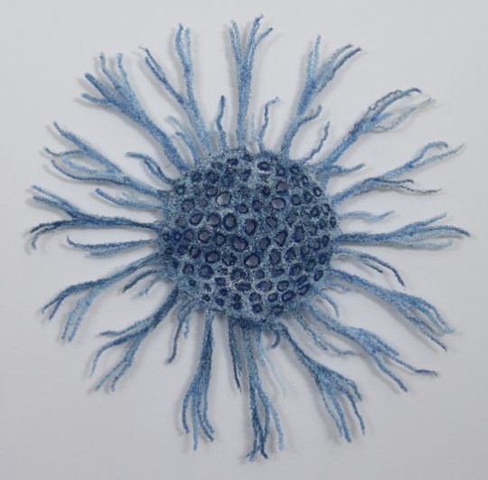 Marty Jonas - Embroidered Radiolaria Protozoa - 20x20 inches