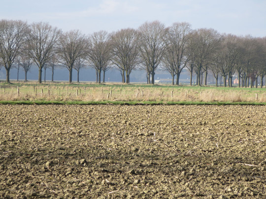 Netherlands Winter