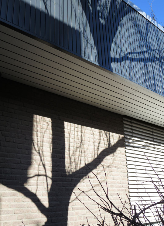 Shadows on Wall, Netherlands