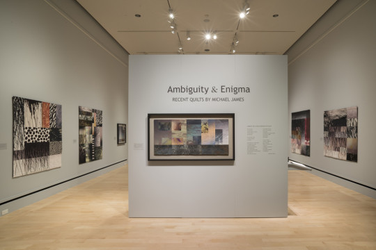 Michael James: Ambiguity & Enigma, 2015