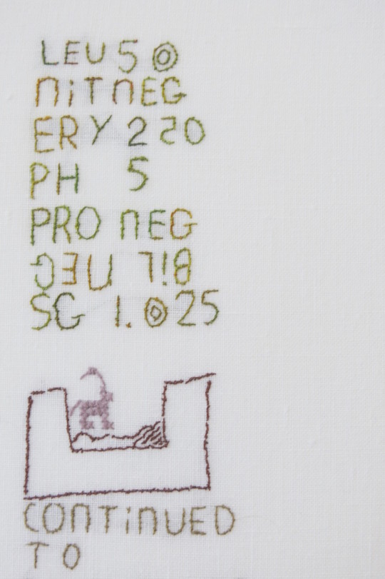 Detail of test in stitch