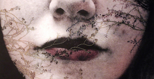 Patricia Casey Featured Image