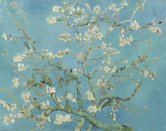 Vincent van Gogh (1853 – 1890) Almond blossom