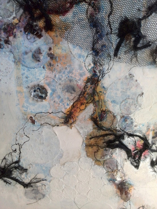 Detail with oil paint, ink, pieces of textile, organza, poppy seed pods, homemade paint