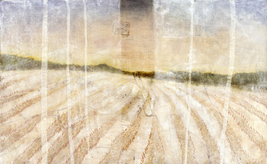 Early Winter. Collage of mended vintage linen, painted with dyes & acrylic, with stitched silk gauze. 20.25”h x 32 1/8”w. 2009. Private Collection
