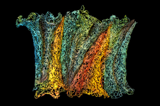 Paulina Ortiz, Del Ext - Al Int Art/Paper, 2013, Dyed vegetable fiber pulp over wire mesh Height 59″ x Width 68.8″ x Depth 6″