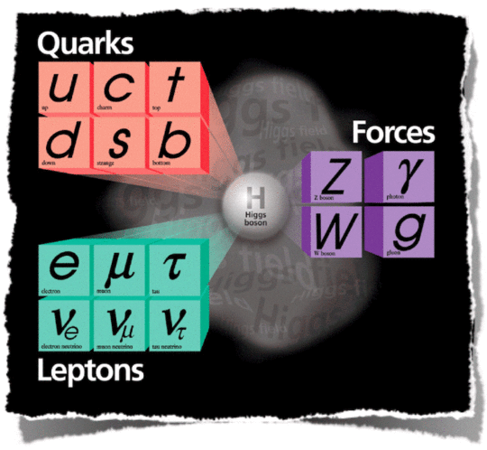 The standard model of particle physics 