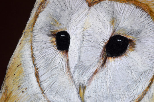 Gillian Bates, Barn Owl (detail)
