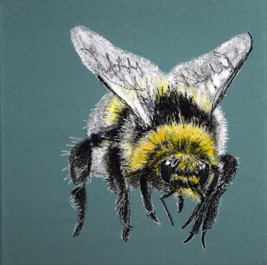 Gillian Bates, Bumblebee
