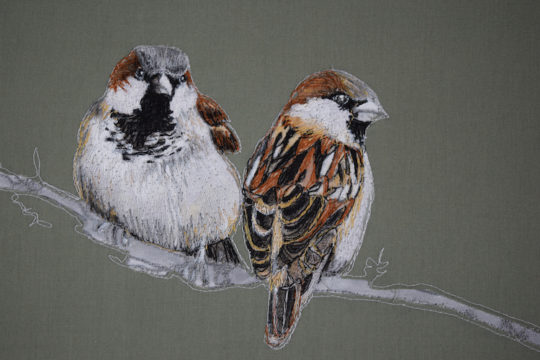Gillian Bates, Sparrows