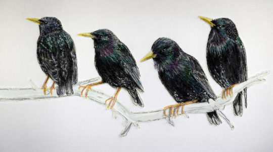 Gillian Bates, Starlings
