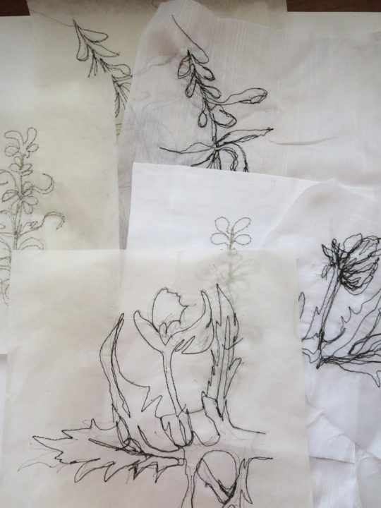 Cas Holmes, Plant Sketches 