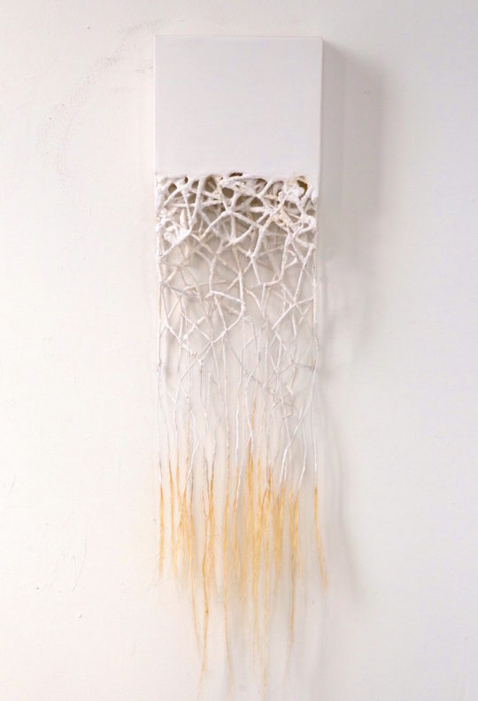 Atsuko Chirikjian, Untitled, 2015, 10" x 43" x 2.5", Sisal, twig, canvas