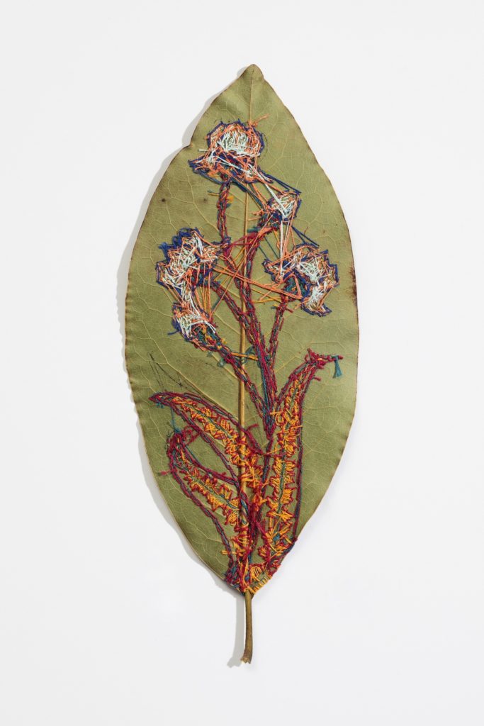 Hillary Waters Fayle, Blooms for Grace (back detail), 2020. Each leaf is approximately 28cm x 11cm (11" x 4½"). Couching. Embroidery thread, magnolia leaf. Photo: David Hunter Hale