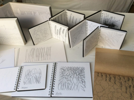 A selection of sketchbooks by Pauline Burbidge