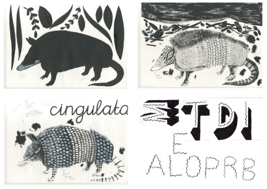 Alice Pattullo, Sketches for An Animal ABC
