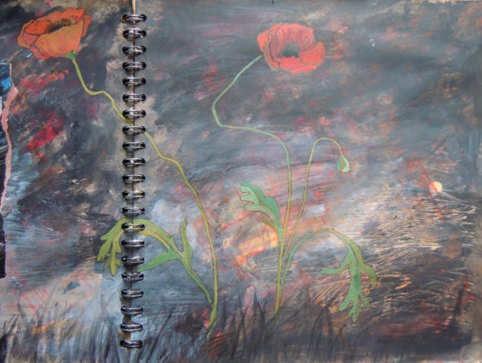 Alison King, Poppies on a sketchbook page