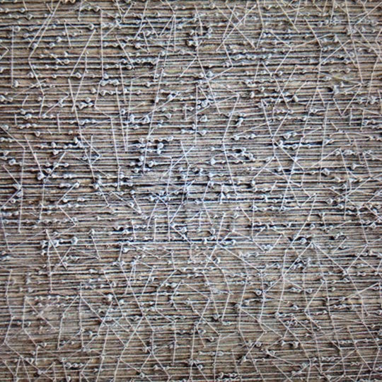 Hilary Ellis, Acacia, 2015, mixed media, 40cm x 40cms