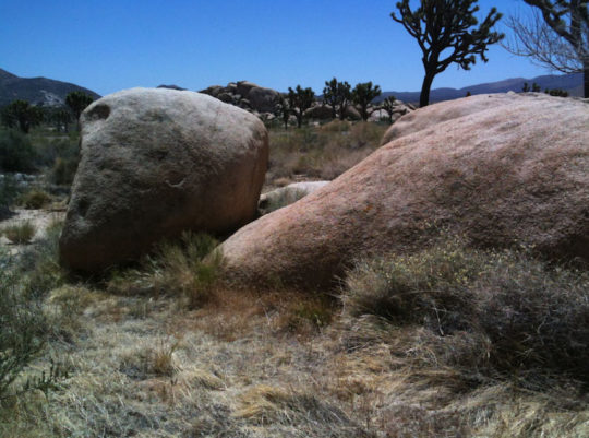 Inspiration trip to Joshua Tree 1