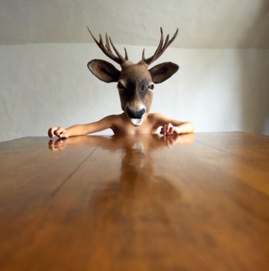 Gladys Paulus, Young Buck, 2015, wet felted wool, photo Bella West