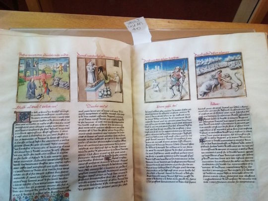 Medieval manuscripts, Newberry Library 