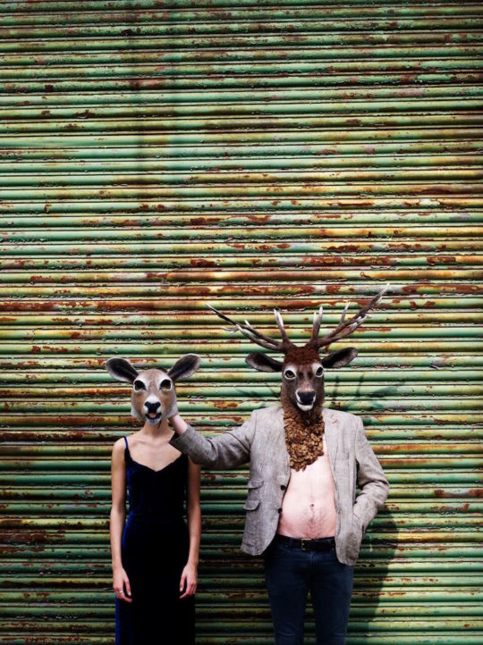 Gladys Paulus, Doe and Stag, 2015, wet felted wool, photo Bella West