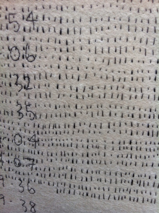 Vanessa Rolf, Sleep Diaries detail, 2014, 16cm x 236cm, hand stitched wool felt