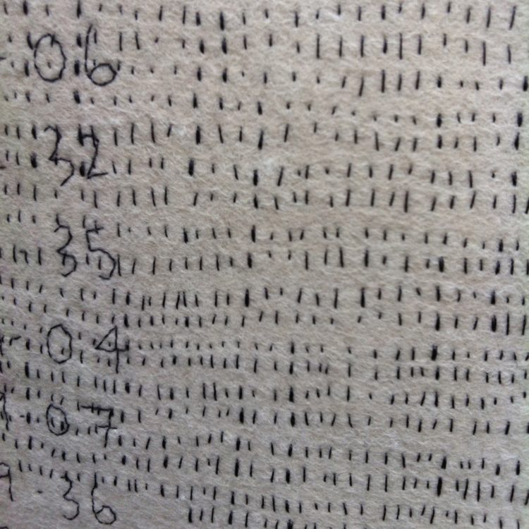 Vanessa Rolf, Sleep Diaries (detail), 2014. 16cm x 236cm, hand stitched wool felt, thread.