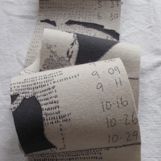 Vanessa Rolf, Sleep Diaries, 2014. 16cm x 236cm, hand stitched wool felt, thread.