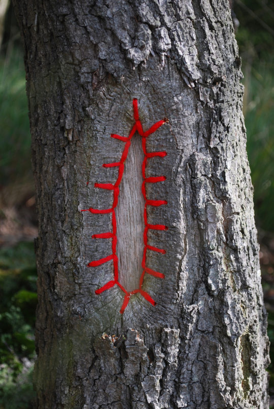 Hannah Streefkerk, Tree restorations, 2010, Tree mended with yarn and stitches for the Landart biennale Valkenswaard, The Netherlands
