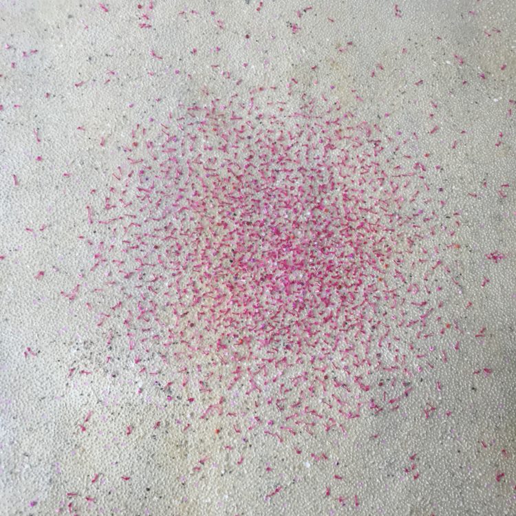 Hilary Ellis: Pink Swarm