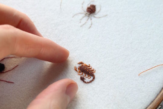 Adam Pritchett, Miniature Scorpion, 2017