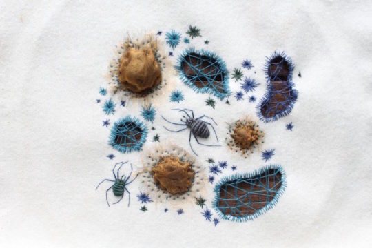 Adam Pritchett, Spiders nest, 2016
