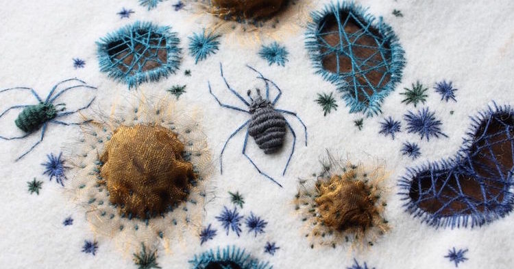 Adam Pritchett: Stitch insects