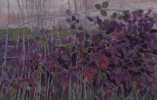 Jan Beaney, Winter Brambles