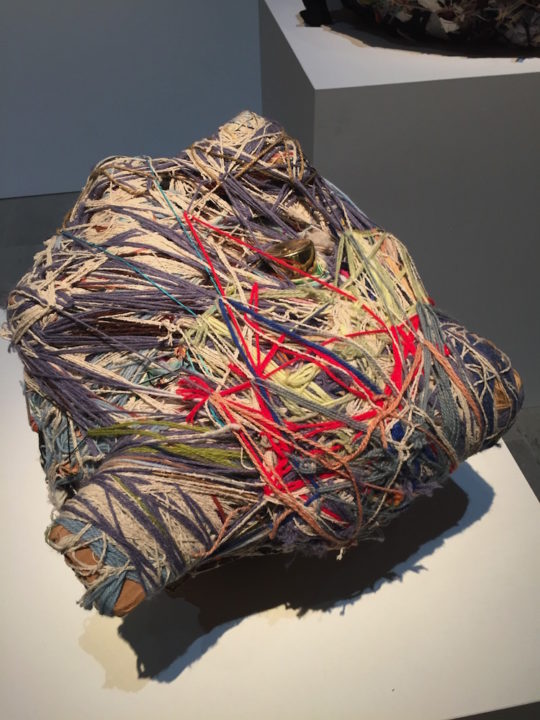 Judith Scott, USA