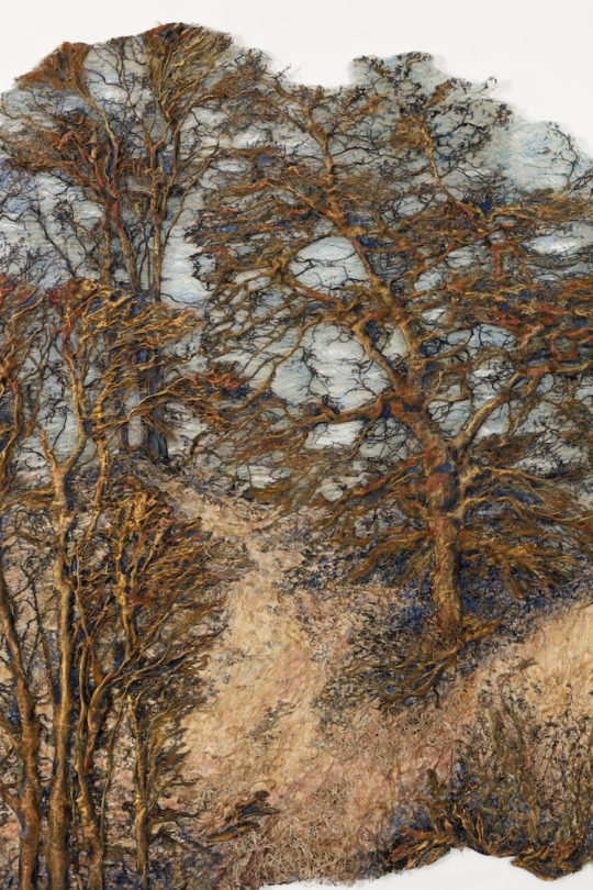 Woodland detail