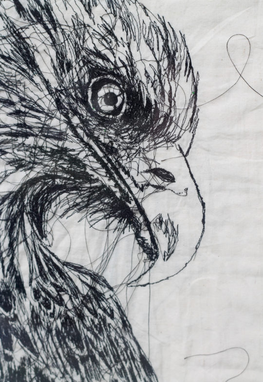 Julie French, Eagle, 2016, 40 cm x 50 cm, machine stitch on calico