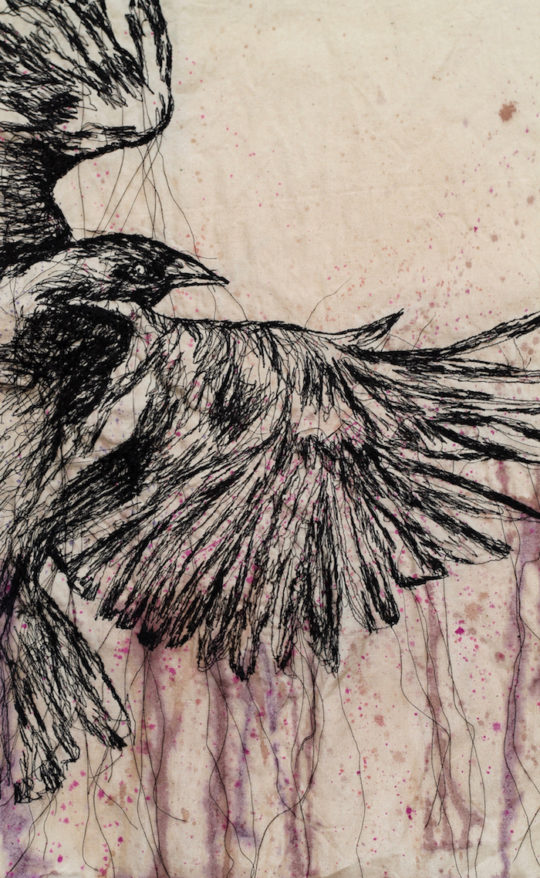 Julie French, Flight, 2015, machine stitch with ink on calico