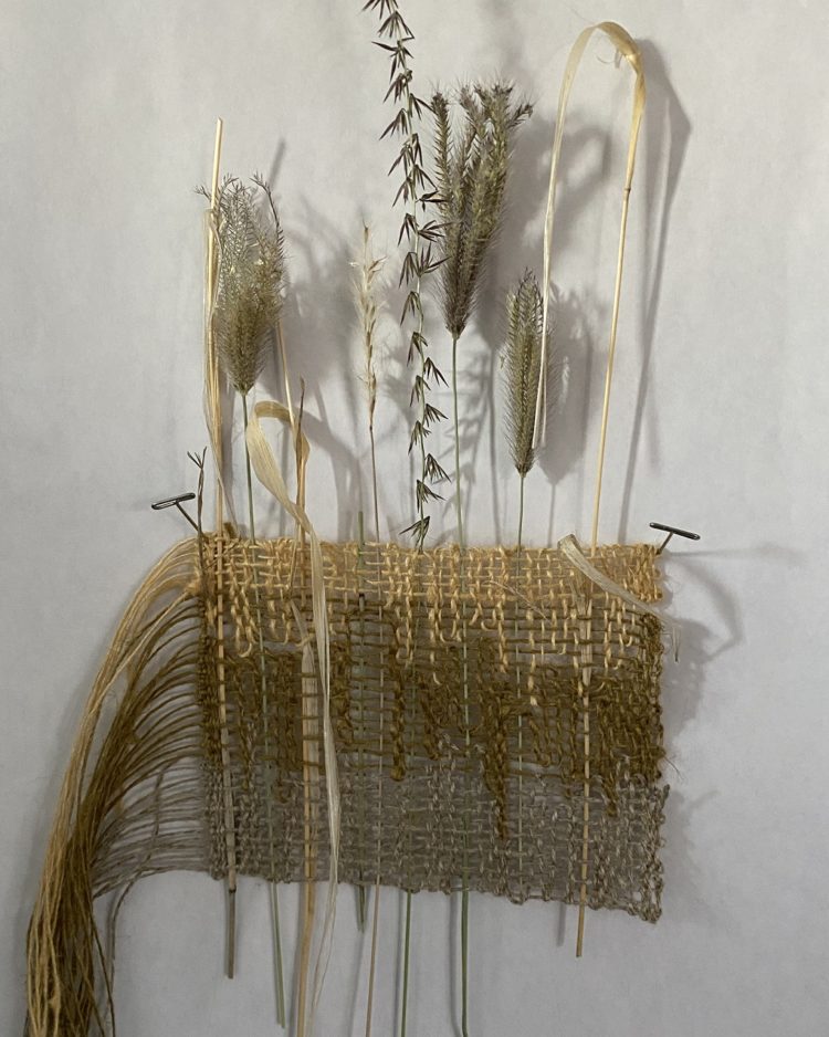 Molly Elkind, Woven Grass Study, 2022. 48cm x 17cm (19” x 6.5”). Weaving. Linen, native New Mexico grasses. Photo: Sam Elkind